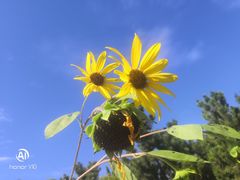 -小仙居·农家宴烤羊· 农庄