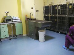 -瑞鹏宠物医院·爱宠堂·骨外专科(西荷分院)