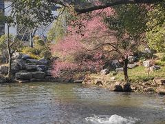 -中国茶叶博物馆(双峰馆区)