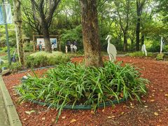 -上海吴淞炮台湾国家湿地公园