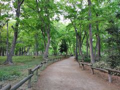 -三鹰之森吉卜力美术馆