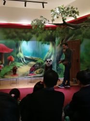 -未来动物城主题公园(正弘城店)
