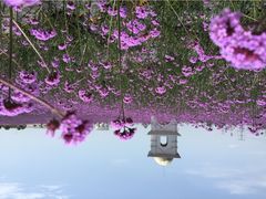 紫颐香薰山谷薰衣草庄园-紫颐香薰山谷景区