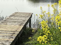 -东南大学(九龙湖校区)