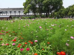 -洪湖生态旅游区