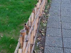 -义乌小商品批发市场(中国小商品城·篁园服装市场店)