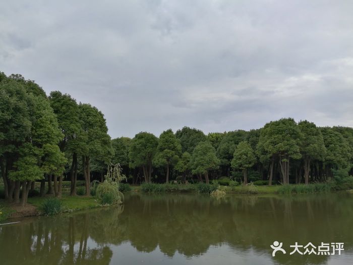 香樟园-图片-南京景点/周边游-大众点评网