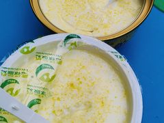 -德禄酸奶(莫家街店)