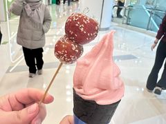 -小大董·烤鸭(王府井apm店)