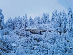 -瓦屋山景区