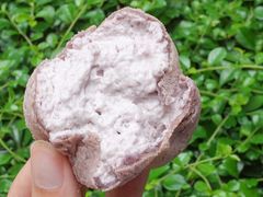 -可丽可丽·生日蛋糕·下午茶(厦门鹭港店)