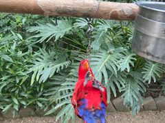 -南宫五洲植物乐园