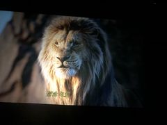 -奥斯卡升龙国际影城(RealD Cinema)