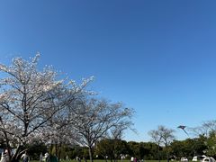 -蠡湖大桥公园