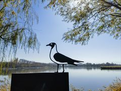 -野鸭湖国家湿地公园