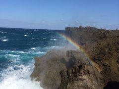 -龙坑生态保护区