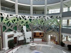-中国医科大学附属盛京医院(滑翔院区)