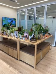 点击看大图 -dōTERRA多特瑞精油生活馆
