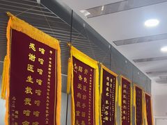 -中农国际动物医院24小时·猫科·骨科·急重症中心