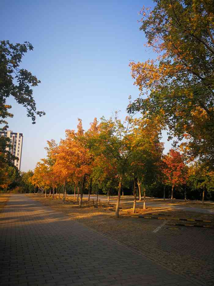 国际图书城(台湖店)-"已经是第二次去了.可能因为疫情吧,关了.