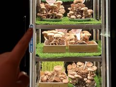 -捞王锅物料理(金华义乌之心店)