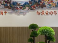 -鲜菌江湖正宗野生菌火锅