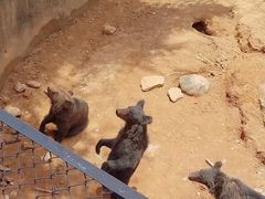 -云南野生动物园