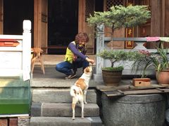 -龙姐私房菜(和顺古镇店)