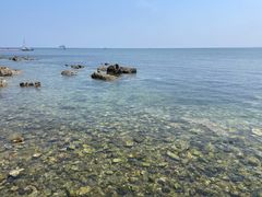 -养马岛旅游度假区