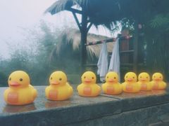 -崇阳三特浪口温泉