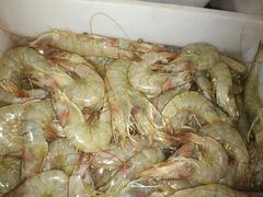 -宾朋海鲜特色美食餐厅·纯手工鲅鱼水饺(兴海路店)