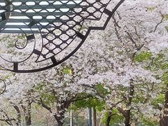 -玛格萝妮比萨屋(四平店)