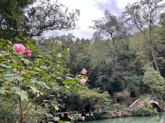 -灵栖洞天