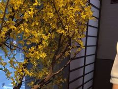 -上足·影院足道·SPA(红岭店)
