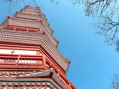 -分塔山省级森林公园