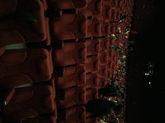 iphone_upload_pic-金逸影城(光美江宁IMAX店)