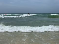 -黄金海岸