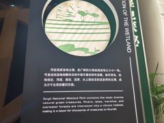 -同里国家湿地公园