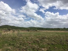 -塞罕坝国家级自然保护区