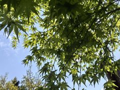 -窦圌山风景区