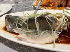 -鱼乐轩海鲜专门店
