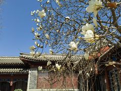 -北京鲁迅博物馆(北京新文化运动纪念馆鲁博馆区)