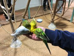 -上海大自然野生昆虫馆(东方明珠·爬宠昆虫探索中心)