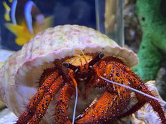 -太平洋海底世界