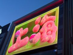 -德兴馆(山西南路店)