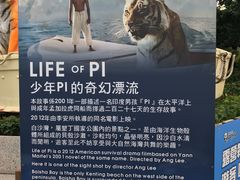 -白沙湾海滩