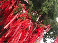 -陕西省红河谷森林公园