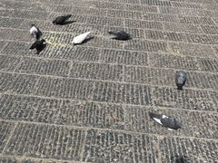-宝通禅寺