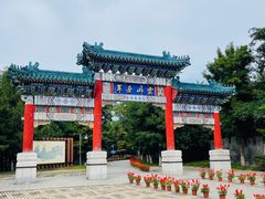 -云岗森林公园