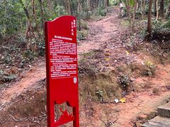 -黄埔油麻山森林公园